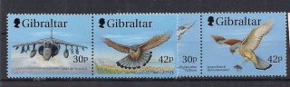 Gibraltar - 2000 Birds - Vf 950 - 5 photo