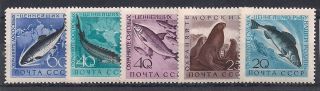Russia - 1959 Fishes Mlh - Vf 2184 - 6 photo