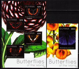 Guyana 2012 Butterflies I 1 Ms Of 4 Different + 1 Ss photo