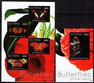 Guyana 2012 Butterflies Ii 1 Ms Of 4 Different + 1 Ss photo