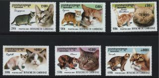 Camboda Sc2122 - 2126 Lovely Cats - Singapur - Exoticshorthairragdoll Etc.  2001 photo