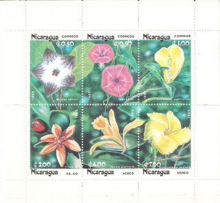 Nicaragua 1985 Flowers Mini - Sheet (sc 1459a) photo