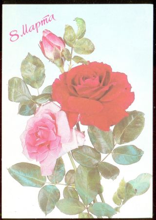 Russia / Ussr,  1987,  Women`s Day Greeting Post Card, photo
