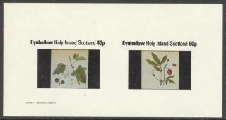 Eynhallow (br.  Local) 1982 Fruits Berries Sheet Of 2 Imperf.  Ne023 photo