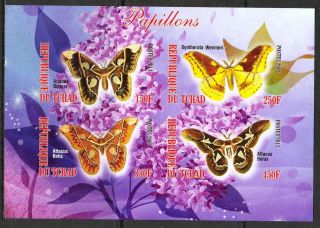 2013 Butterflies I Imperf.  Sheet Of 4 5t I 001 photo
