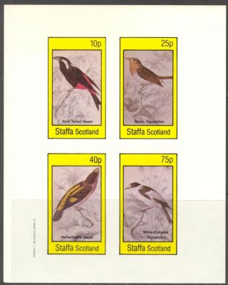 Staffa (br.  Local) 1982 Birds Iii Gaper Flycatcher Sheet 4 Imperf.  Ns300 photo