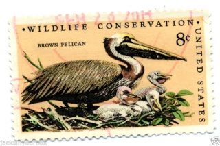1464.  7 Single,  Wildlife Conservation Brown Pelican,  Yr 1972,  8 Ct Postmark, photo