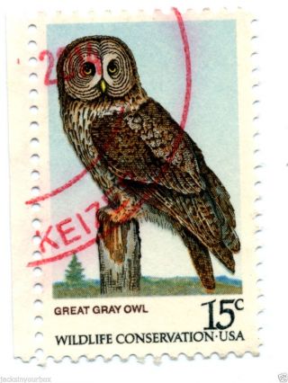 1760 - 3 Single,  American Owls Yr 1978,  15 Ct Postmark, photo