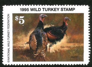 1995 Wild Turkey Stamp - Scarcest Nwtf Stamp - - Nowhere Else Offered - Just Look photo
