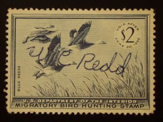 U S 1 Signed Hunting Permit Stamp S C Rw 22 photo