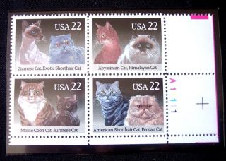 Us Plate Block Of American Shorthair And Persian Cats 2372 - 2375 photo