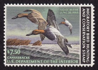 Us Scott Rw49 Federal Duck Stamp - Never Hinged - 1982 Stamp photo