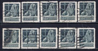Canada 335 (11) 1954 4 Cent Gray Canadian Wildlife Walrus 10 photo