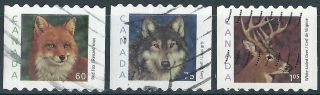 Canada.  2000. .  Wild Abimals.  (3483) photo