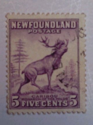 Newfoundland - Sc257 - 1941 - 5 Cent Caribou - Violet/black - photo