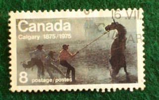 Canada.  Centenary Of Calgary.  1976.  8 Cents. photo