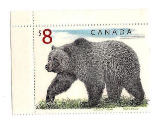 Canada Stamp - $8 Bear photo