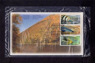 Canada Post 1998 Canadian Fishing Flies Day Of Issue Cover Pack (2) photo
