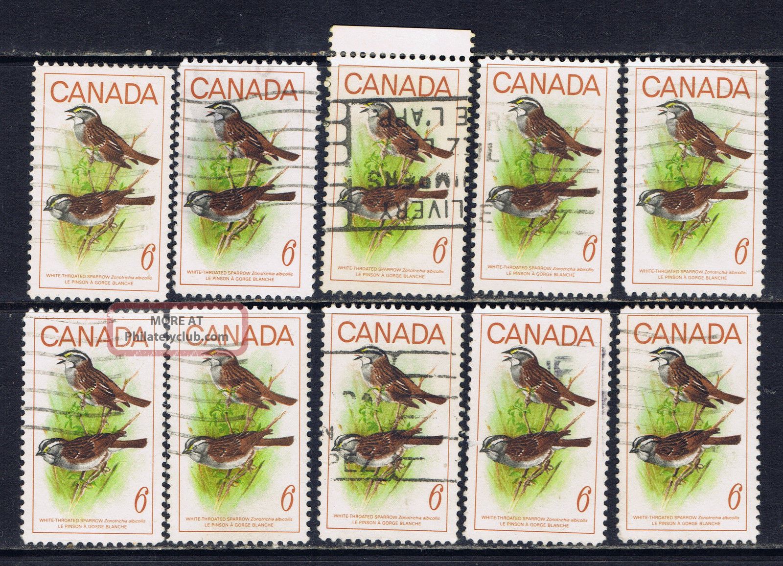 Canada 496 (1) 1969 6 Cent Canadian Birds - White - Throated Sparrow 10 Canada photo