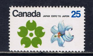 Canada 510 (1) 1970 25 Cent Expo ' 70 White Garden Lily (quebec) Cv$3.  00 photo
