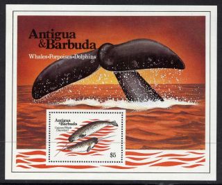 Antigua 707 Unicorn Whale,  Marine Life photo