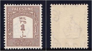 Palestine 1944 Kgvi 1m Brown Perf 15x14.  Sg D12a.  Sc J12a. photo