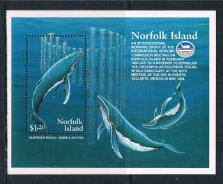 Norfolk Is 1995 Humpback Whales Sg Ms 590 photo