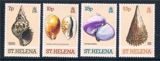 St.  Helena 1981 Sea Shells Sg381/4 photo