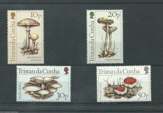 Tristan Da Cunha - 1984 - Sg369 To Sg372 - Cv £ 1.  70 - Unmounted photo