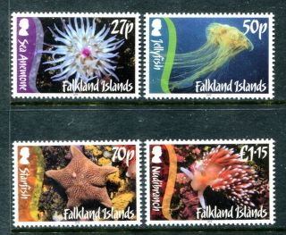 Falkland Islands 1043 - 1046, ,  2012 Marine Life Jelyfish Starfish.  X16077 photo