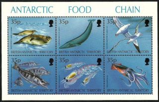 British Antarctic 1994 Birds Penguins Marine Whales Food Chain M/sheet photo