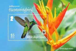 Br.  Virgin Islands Wwf Crested Hummingbird S/sheet Nh photo