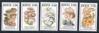 Kenya 1989 Mushrooms Sg 506/10 photo