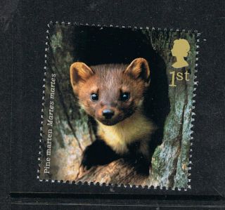 Pine Martin Illustrated On 2004 British Stamp - Nh photo