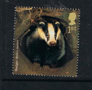 British Badger Illustrated On 2004 British Stamp - Nh photo