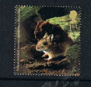 Yellow Necked Mouse Illustrated On 2004 British Stamp - Nh photo