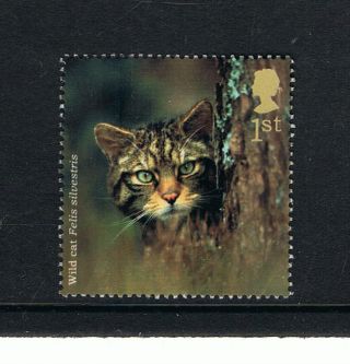 British Wild Cat Illustrated On 2004 British Stamp - Nh photo