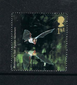 Natter ' S Bat Illustrated On 2004 British Stamp - Nh photo