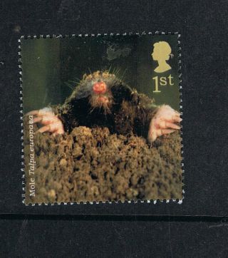 English Mole Illustrated On 2004 British Stamp - Nh photo