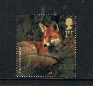 British Fox Illustrated On 2004 British Stamp - Nh photo