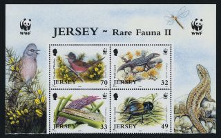 Jersey 1134 - 7 Top Block Birds,  Insects,  Lizard,  Flowers photo