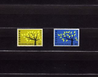 Netherlands 394 - 95 Europa Cept 1962 Tree With 19 Leaves photo