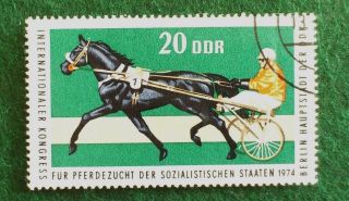 Germany.  Ddr.  1974.  Int.  Horse - Breeders´congress.  Berlin.  20 Ph. photo