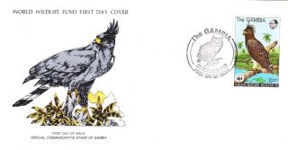 World Wildlife Fund First Day Cover - The Gambia - Long Crested Hawk Eagle No 65 photo