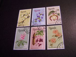 Uganda.  124 - 9.  Flowers. photo
