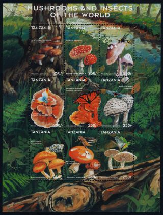 Tanzania 1747 Mushrooms,  Insects,  Butterfly photo