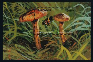 Tanzania 1749 Mushroom,  Butterfly photo