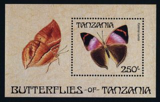 Tanzania 455 Butterfly photo