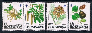 Botswana 1991 Christmas Seed Pods Sg 721/4 photo
