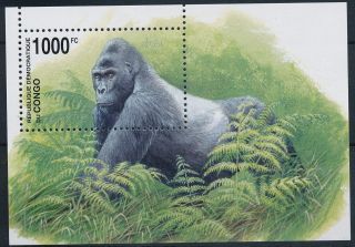 Congo Gorilla - Monkey - Sheet - Gorille - Singes - Affen - Apen photo